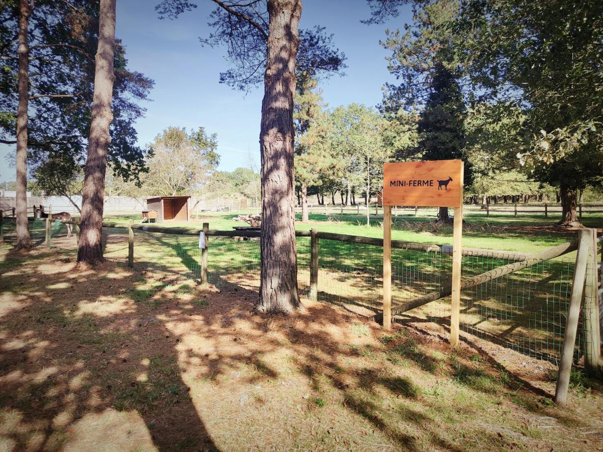 Bungalow Cosy Equipe La Boissiere-de-Montaigu 외부 사진